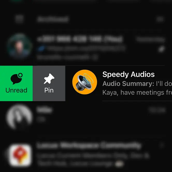 SpeedyAudios video 1
